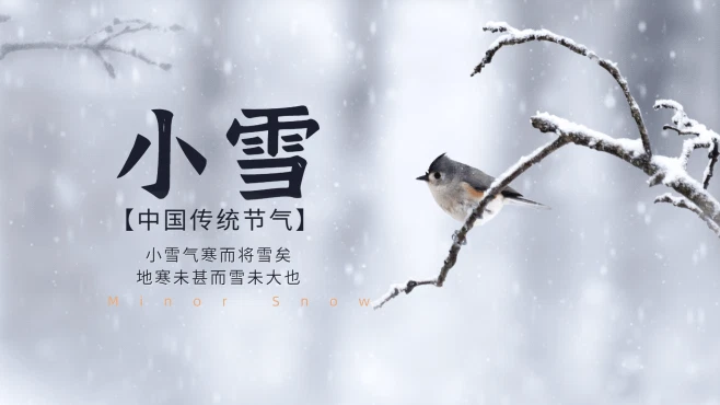 91免费视频入口工程